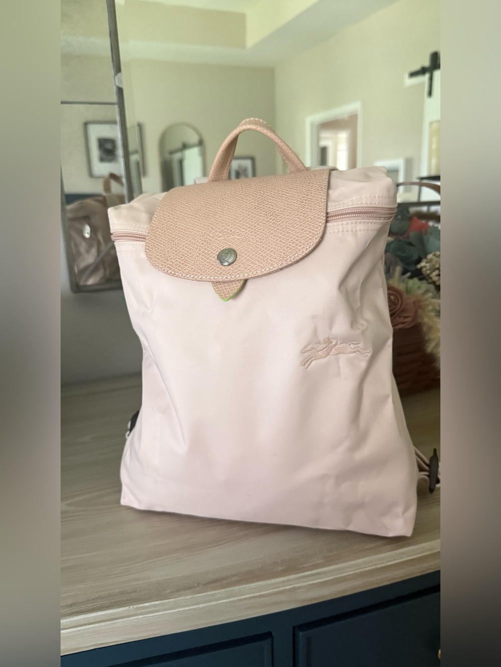 Longchamp Le Pliage Limited addition Light Pink Women's Backpack Purse